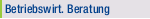 Betriebswirt. Beratung